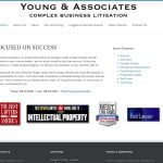 Young & Associates Complex Business Litigation