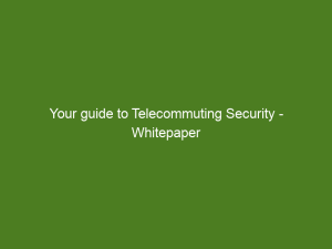 Your guide to Telecommuting Security - Whitepaper