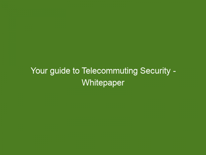Your guide to Telecommuting Security - Whitepaper
