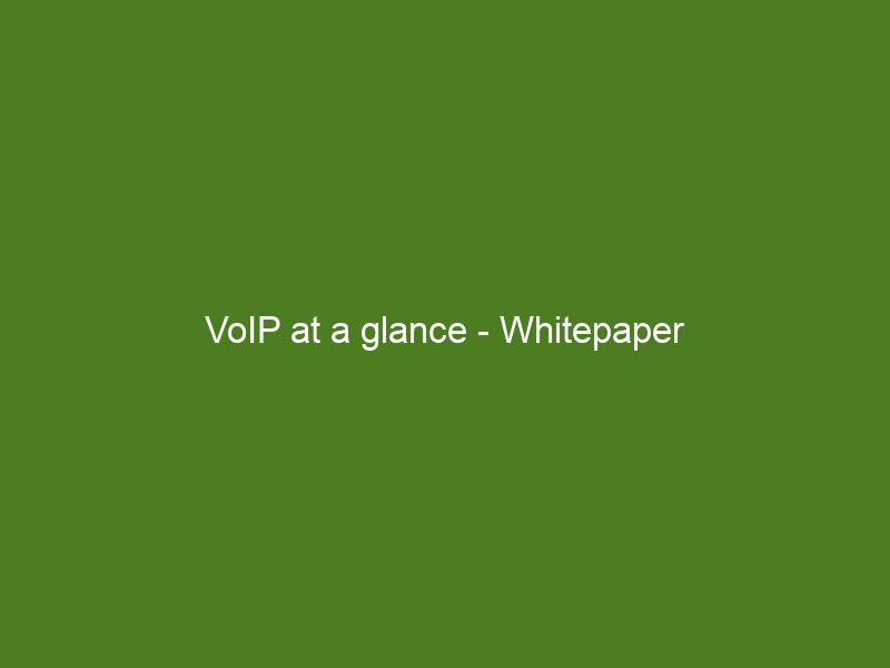 VoIP at a glance - Whitepaper